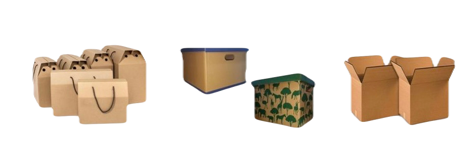Standard Carton Box